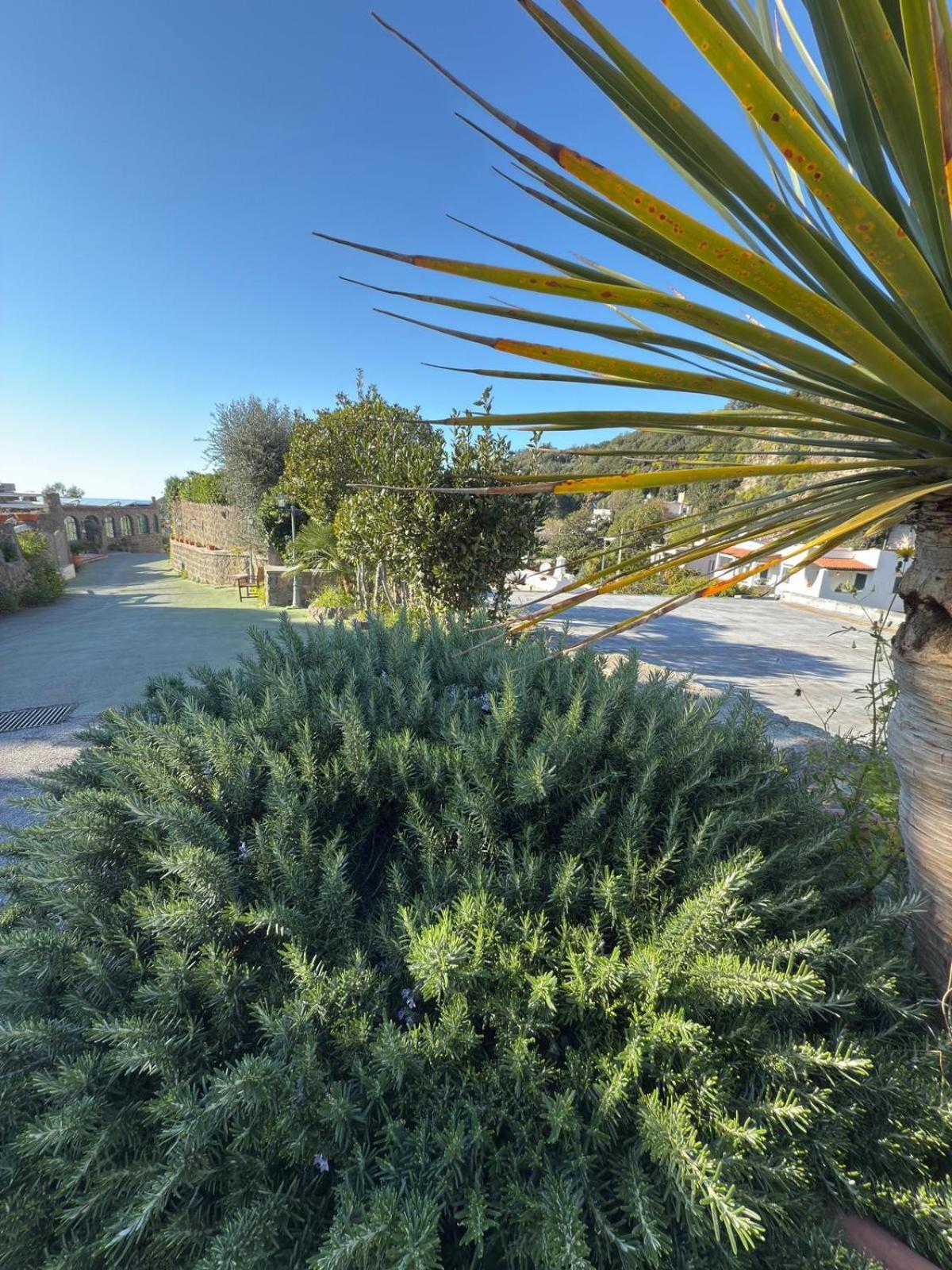 Parco Dei Principi Resort & Spa Forio di Ischia Eksteriør billede